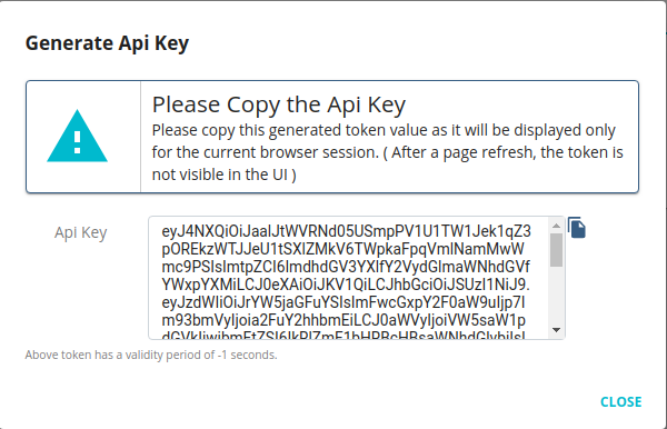 Copy API key