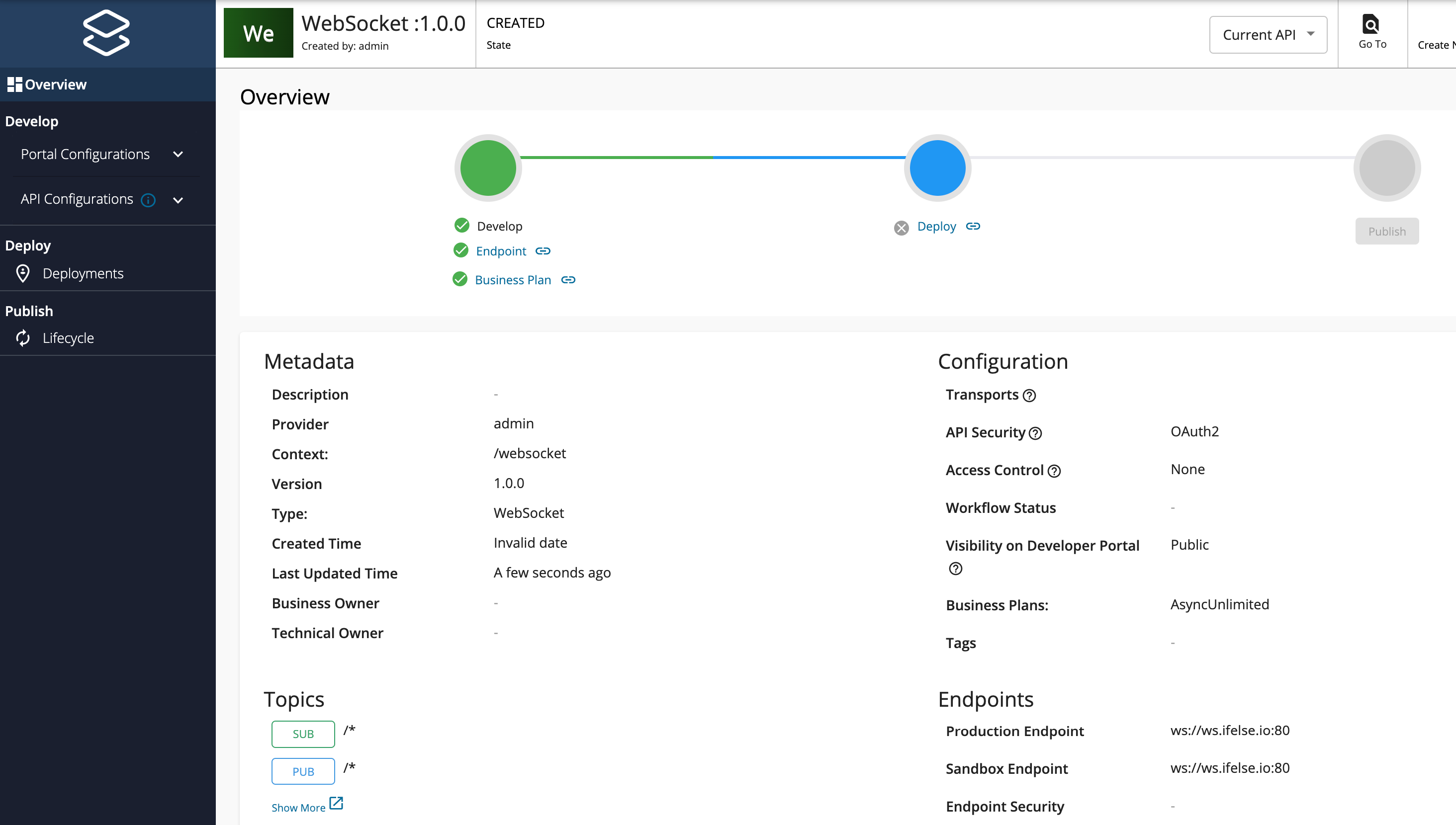 WebSocket API Overview Page