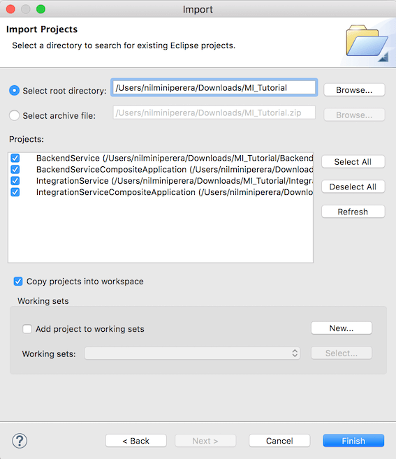 Import ESB project