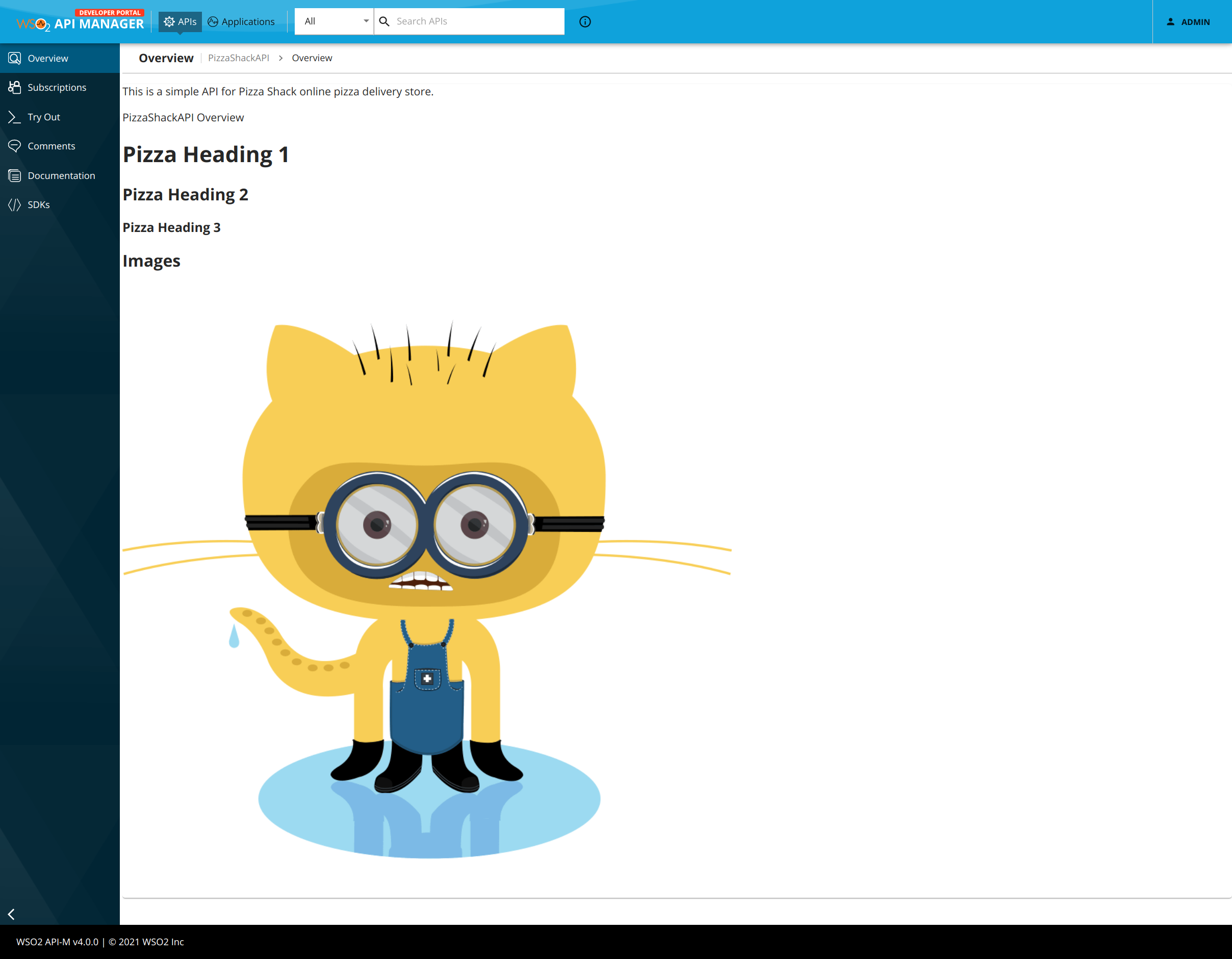 override api overview page per api devportal